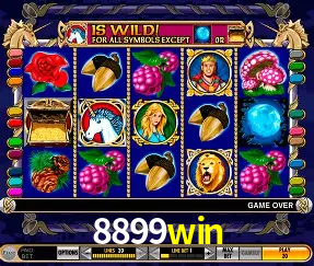 Descubra o Mundo do Cassino Online com 8899win